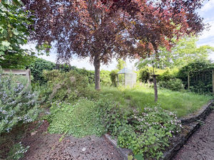 Photo 6- click for photo gallery